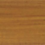 LW 11/5 Thuja